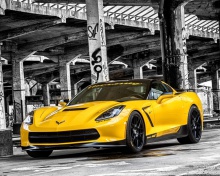 Fondo de pantalla Chevrolet Corvette Stingray 220x176