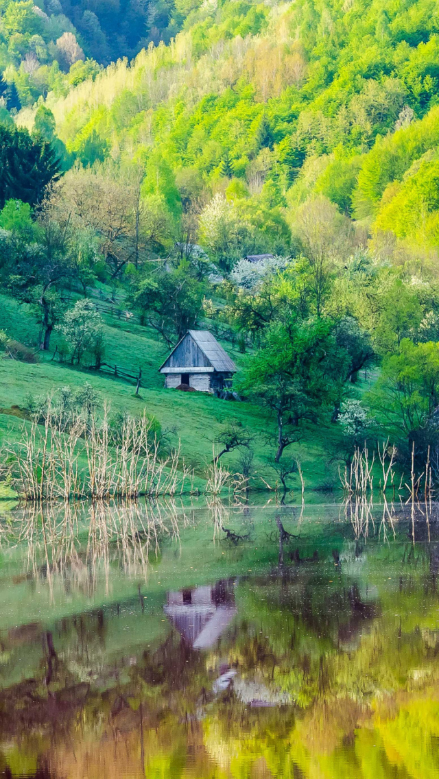 Amazing Reflections wallpaper 640x1136