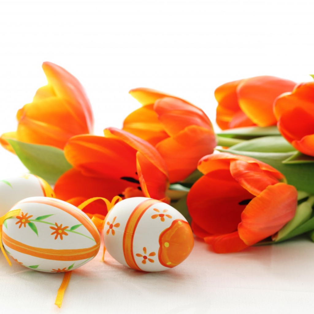 Sfondi Eggs And Tulips 1024x1024