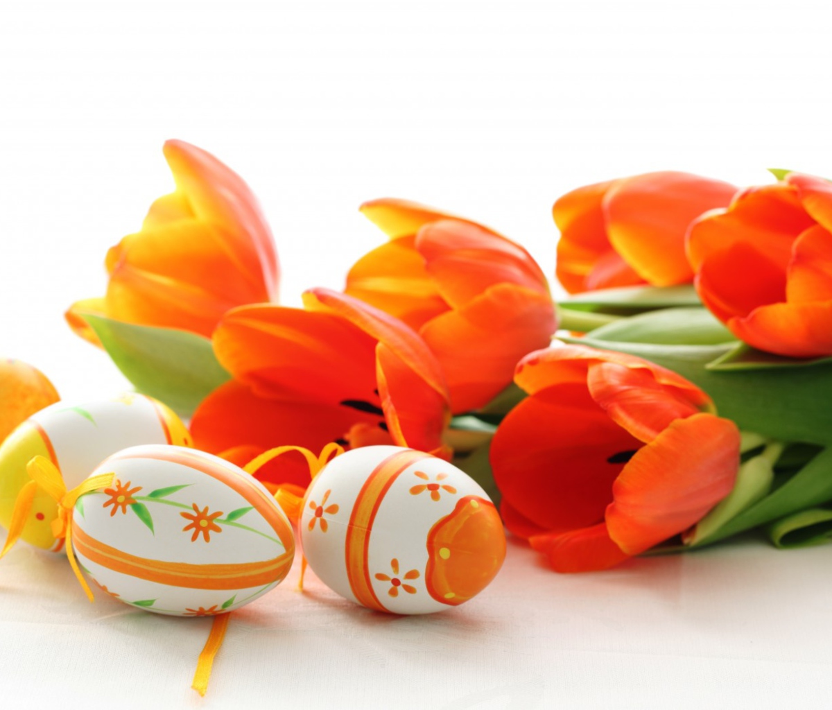 Eggs And Tulips wallpaper 1200x1024