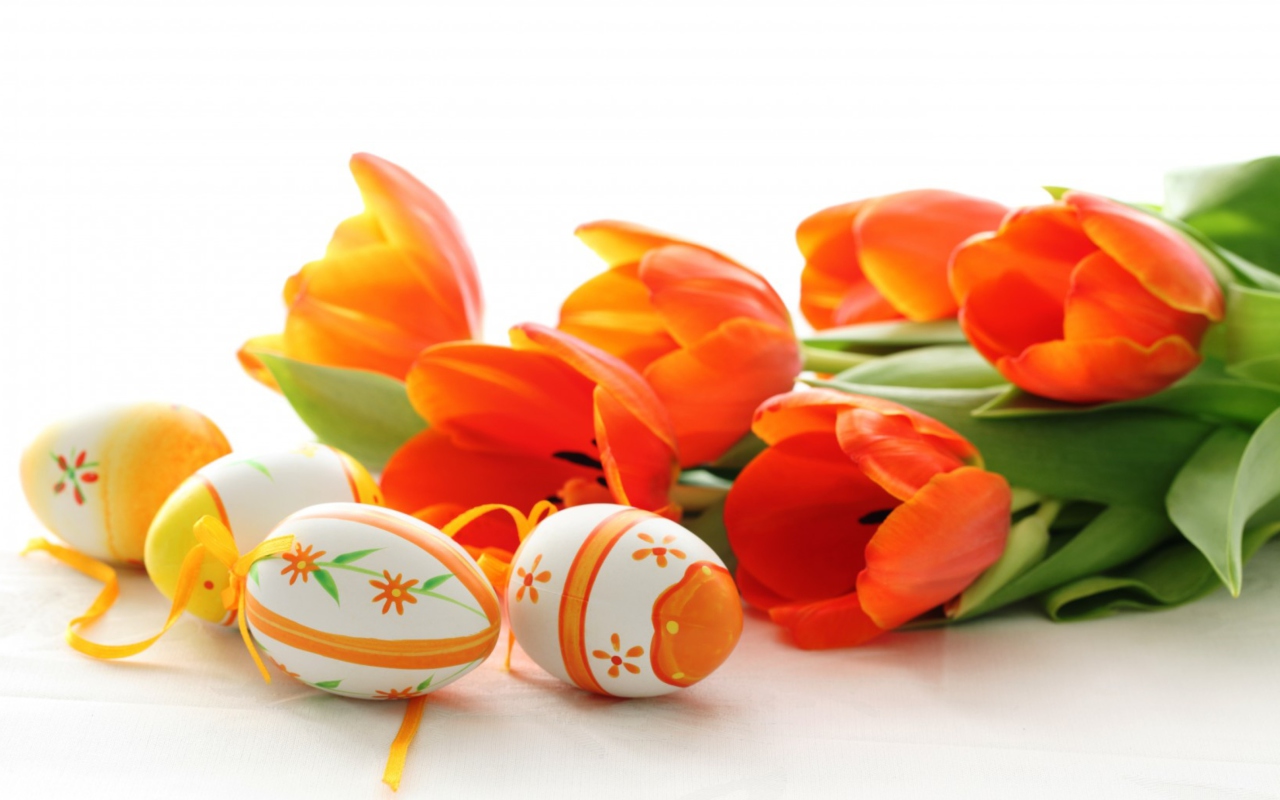 Eggs And Tulips wallpaper 1280x800