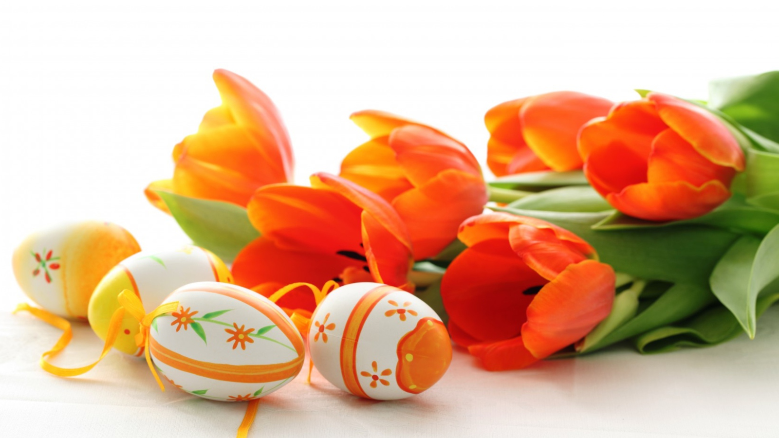 Обои Eggs And Tulips 1600x900