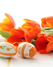 Eggs And Tulips wallpaper 176x220
