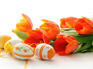 Sfondi Eggs And Tulips 320x240
