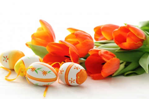 Eggs And Tulips wallpaper 480x320