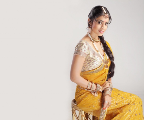 Fondo de pantalla Shriya Saran In Yellow Saree 480x400