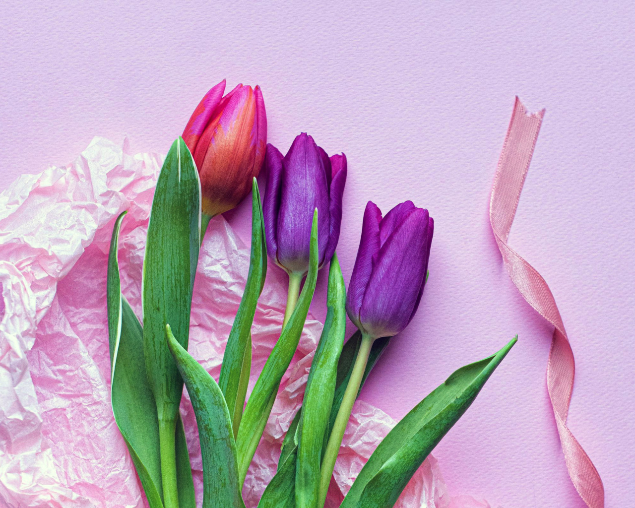 Das Pink Tulips Wallpaper 1280x1024