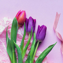 Pink Tulips wallpaper 128x128