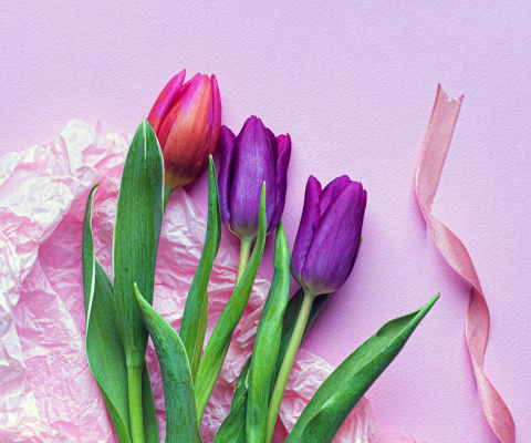 Pink Tulips wallpaper 480x400