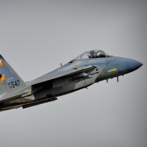 Fondo de pantalla McDonnell Douglas F 15 Eagle 208x208