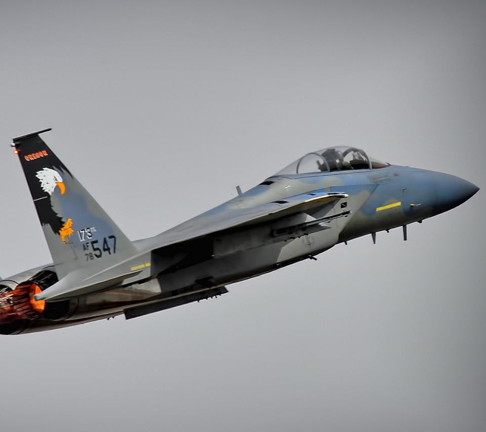 Sfondi McDonnell Douglas F 15 Eagle 960x854