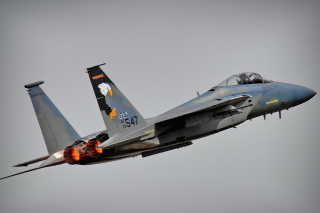 McDonnell Douglas F 15 Eagle Picture for Android, iPhone and iPad