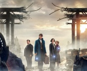 Fondo de pantalla Fantastic Beasts and Where to Find Them 176x144