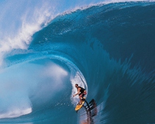 Das Surfer Wallpaper 220x176