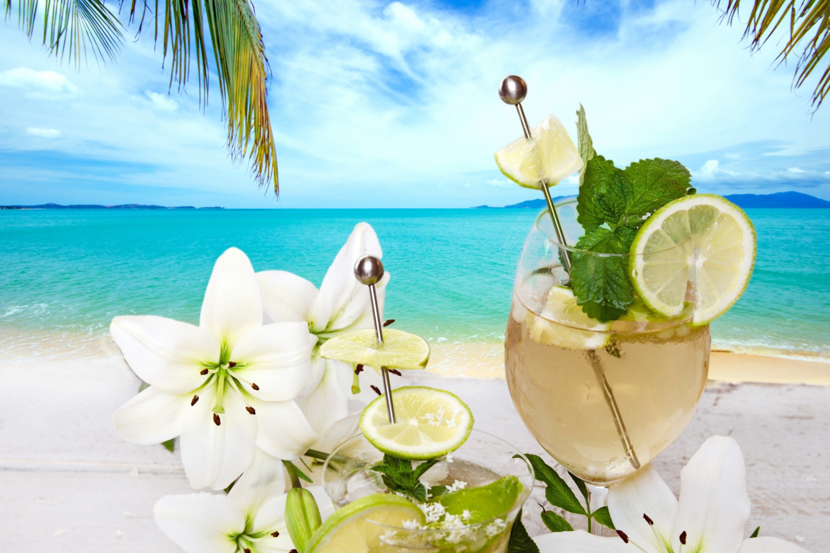 Обои Light summer cocktail 2880x1920