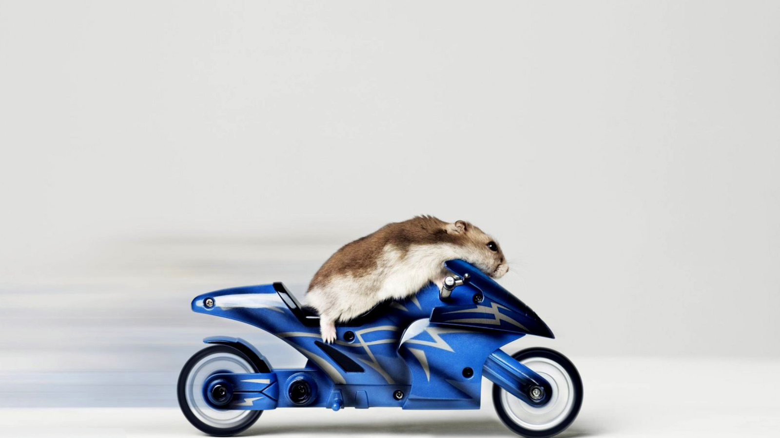 Sfondi Mouse On Bike 1600x900