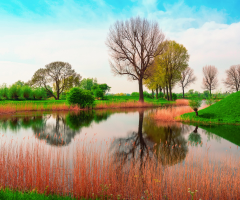 April In France screenshot #1 480x400