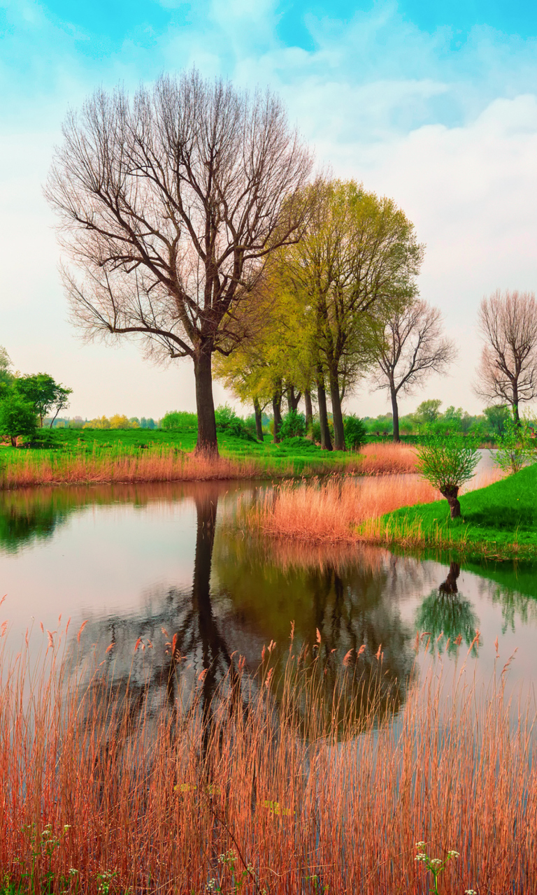 April In France screenshot #1 768x1280