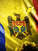 Fondo de pantalla Moldova Flag 132x176