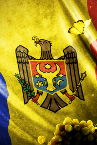 Moldova Flag wallpaper 320x480