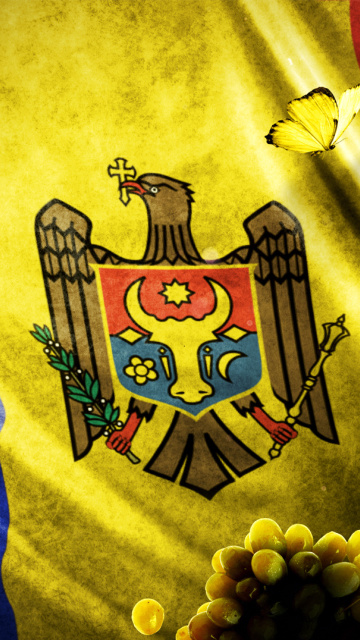 Fondo de pantalla Moldova Flag 360x640