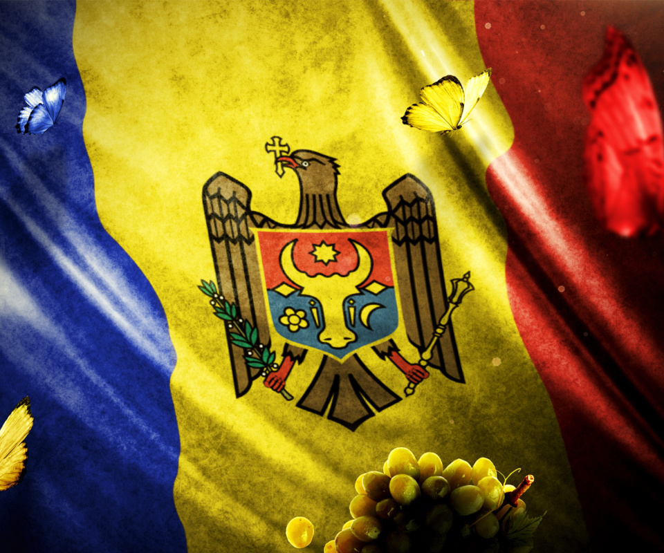 Обои Moldova Flag 960x800