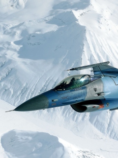 Fondo de pantalla F-16 Fighting Falcon 240x320