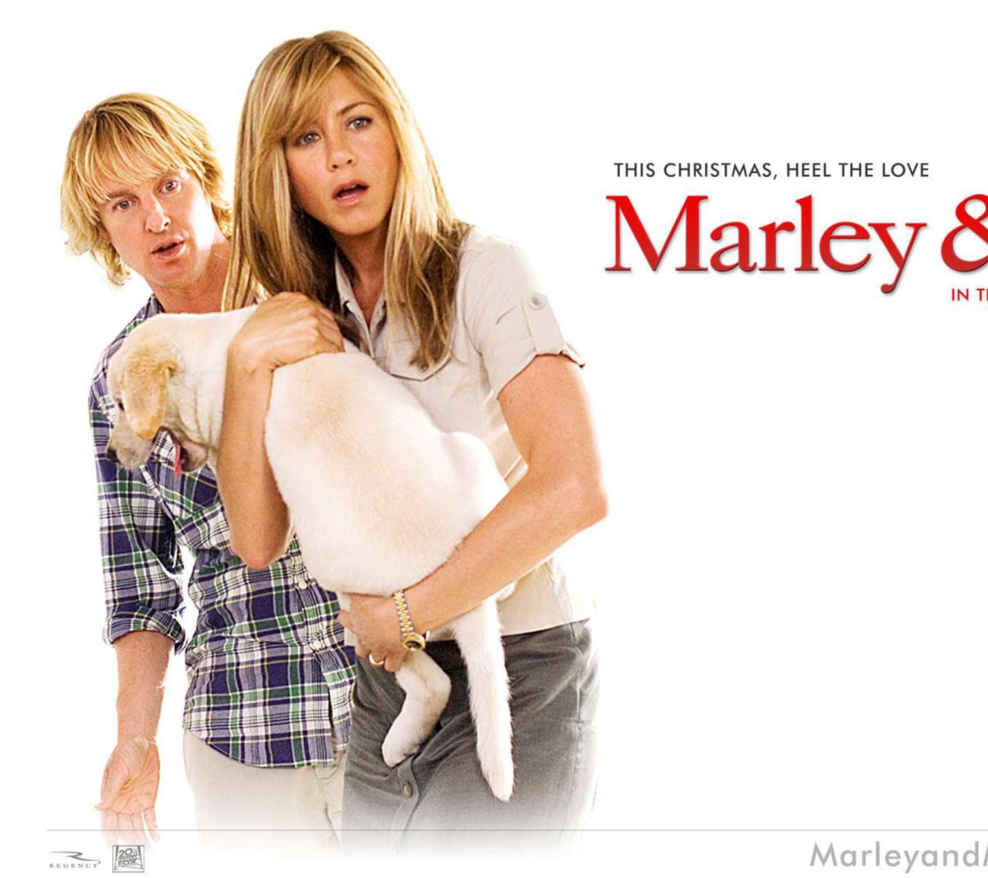 Das Marley And Me Wallpaper 1440x1280