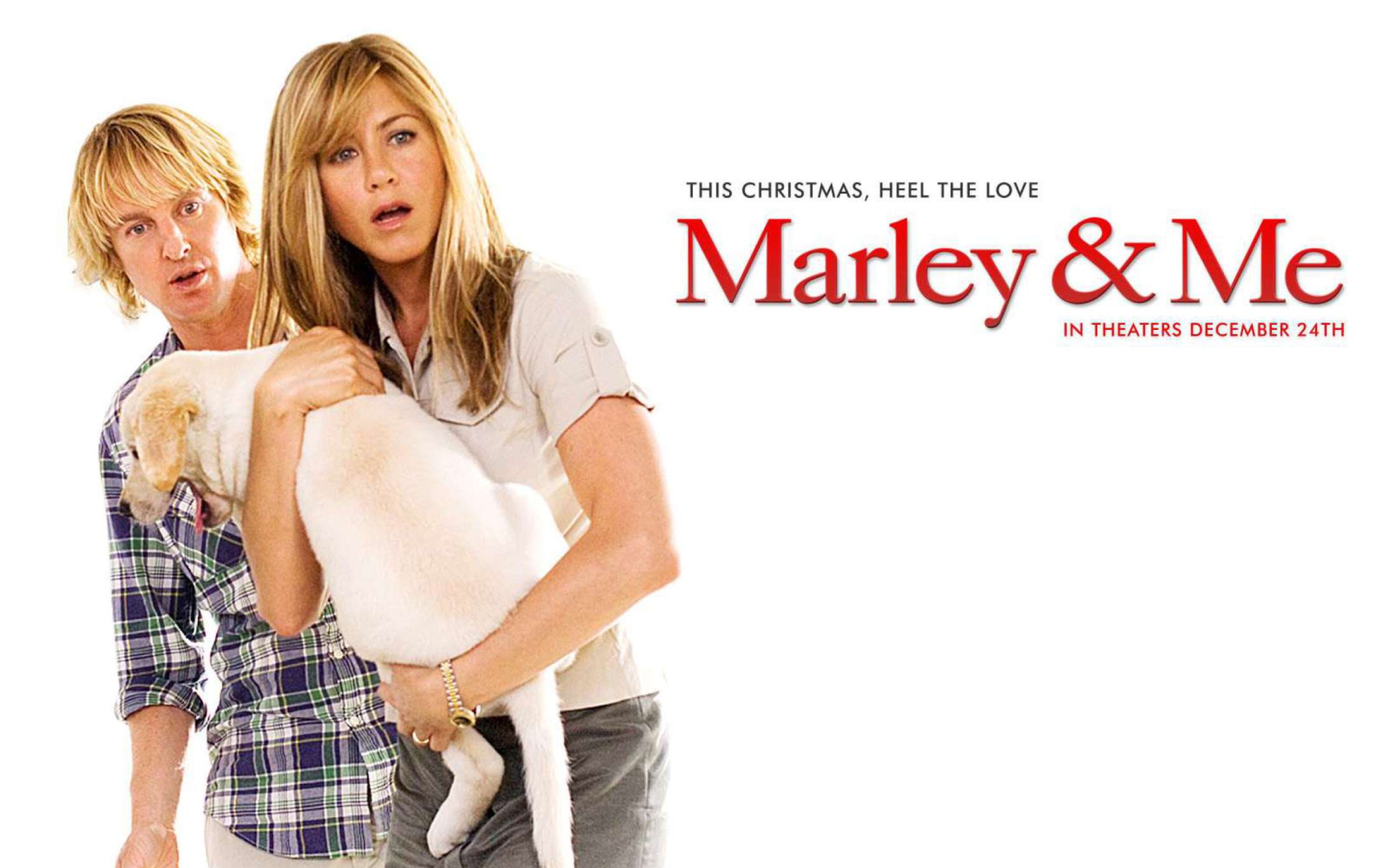 Marley And Me wallpaper 2560x1600