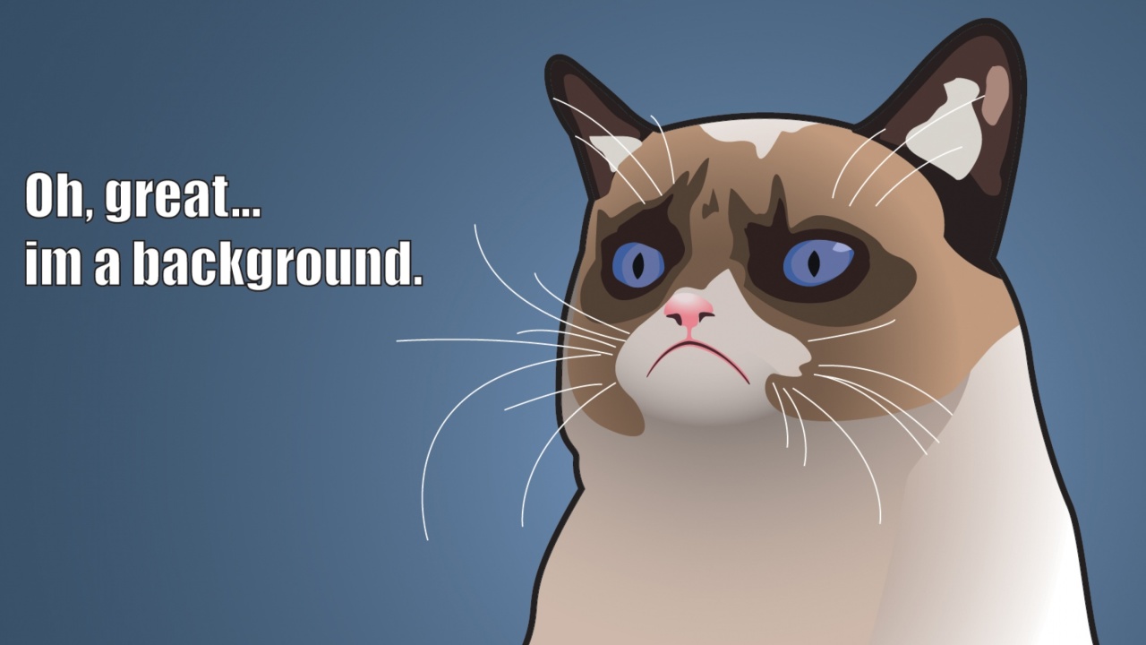 Fondo de pantalla Grumpy Cat, Oh Great Im a Background 1280x720