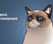 Grumpy Cat, Oh Great Im a Background wallpaper 176x144