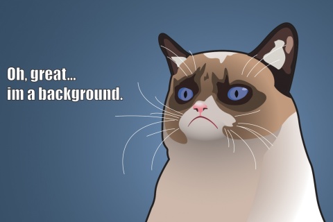 Обои Grumpy Cat, Oh Great Im a Background 480x320