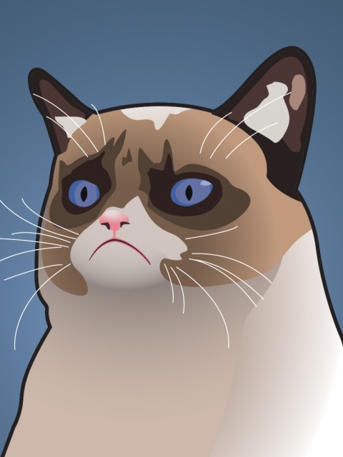 Обои Grumpy Cat, Oh Great Im a Background 480x640