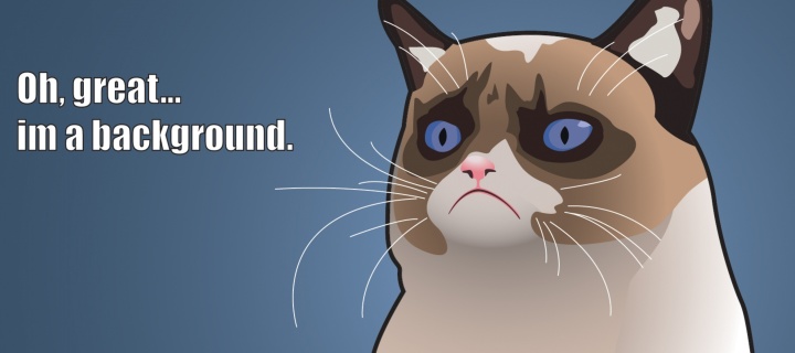 Обои Grumpy Cat, Oh Great Im a Background 720x320