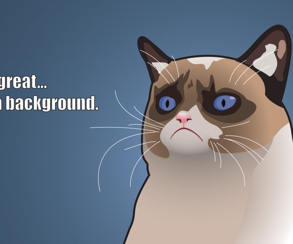 Fondo de pantalla Grumpy Cat, Oh Great Im a Background 960x800