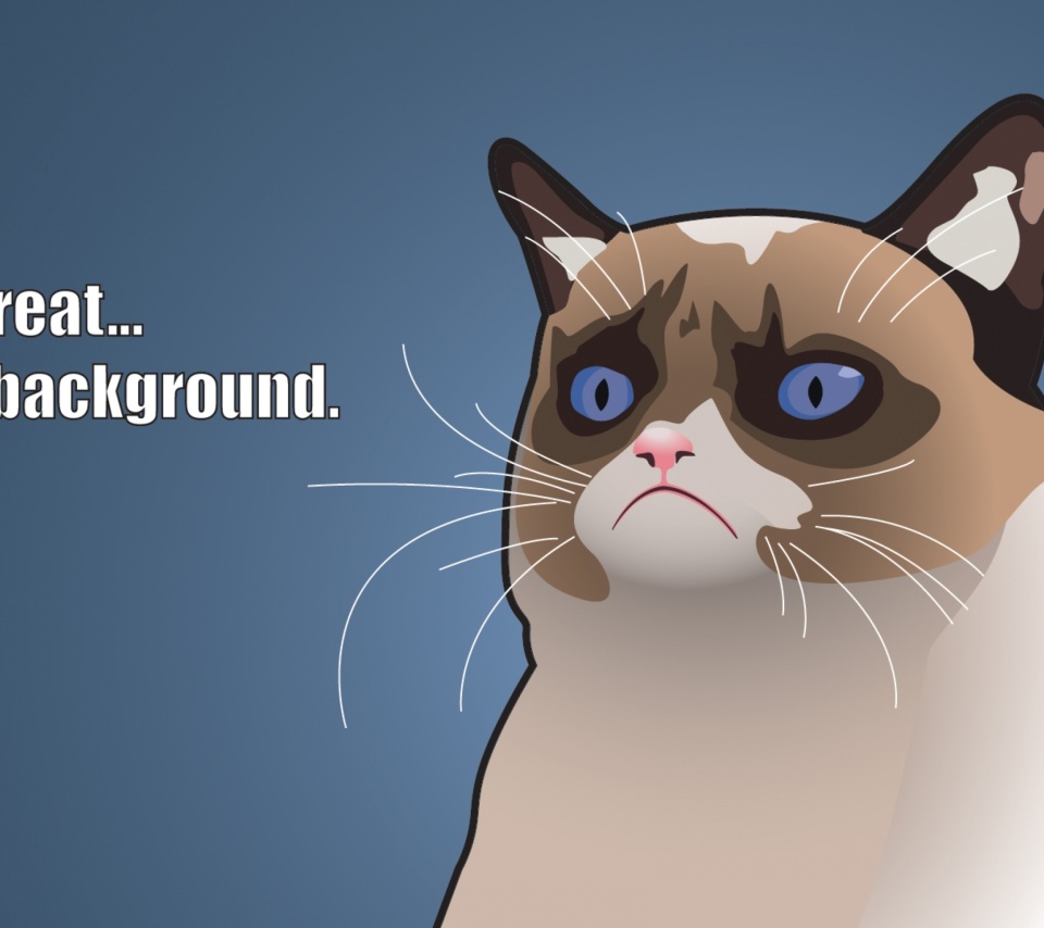 Fondo de pantalla Grumpy Cat, Oh Great Im a Background 960x854