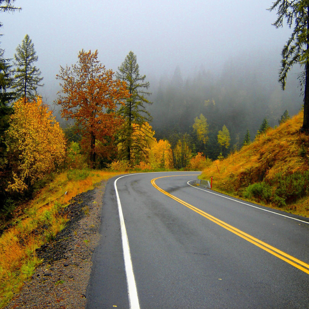 Das Autumn Sodden Road Wallpaper 1024x1024