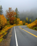 Autumn Sodden Road screenshot #1 128x160