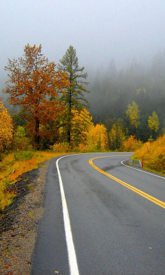 Autumn Sodden Road screenshot #1 240x400