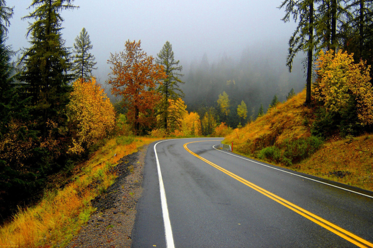 Обои Autumn Sodden Road