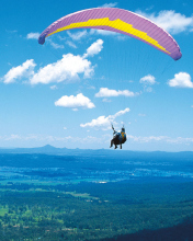 Обои Paraglider 176x220