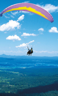 Paraglider wallpaper 240x400