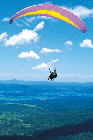 Paraglider wallpaper 320x480