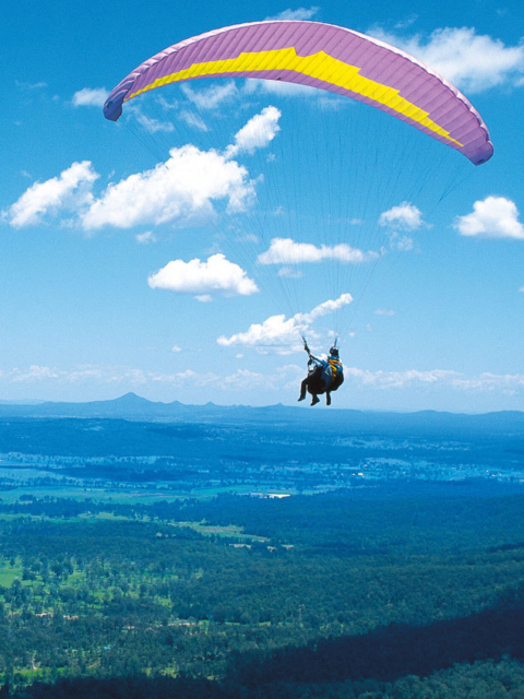 Fondo de pantalla Paraglider 480x640