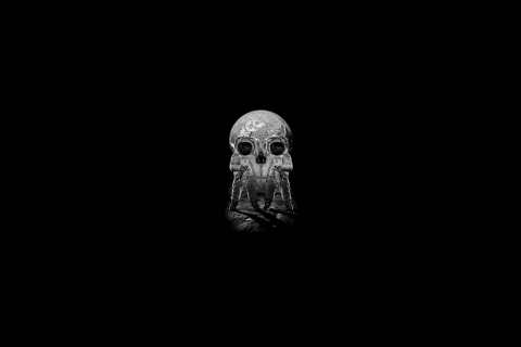 Skull - Optical Illusion wallpaper 480x320