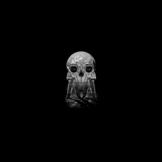 Skull - Optical Illusion Background for 208x208