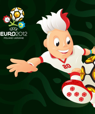 Sport Football Euro - 2012 Wallpaper for Nokia X3-02