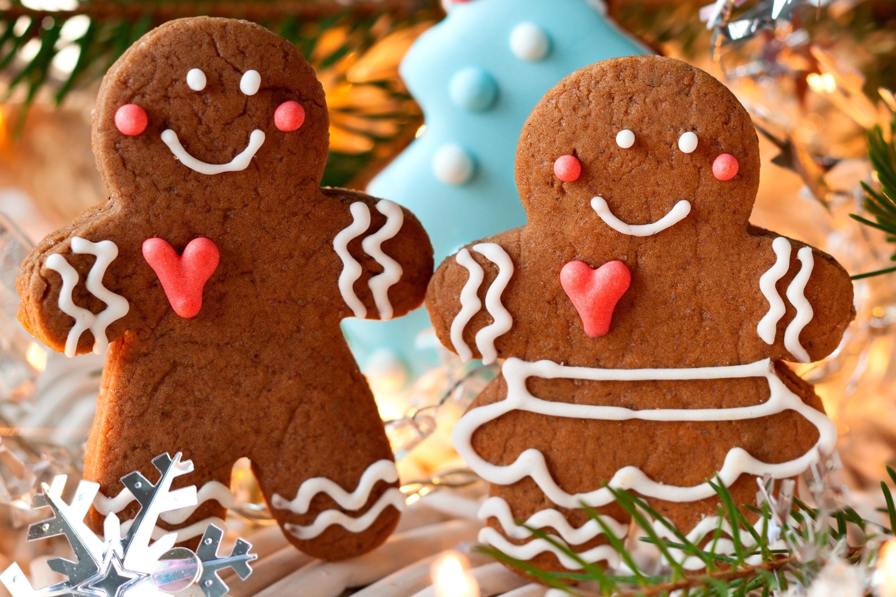 Traditional Christmas Cookies wallpaper 2880x1920