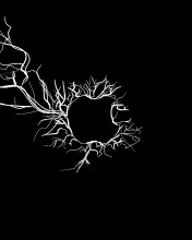 Apple Black Electric screenshot #1 176x220