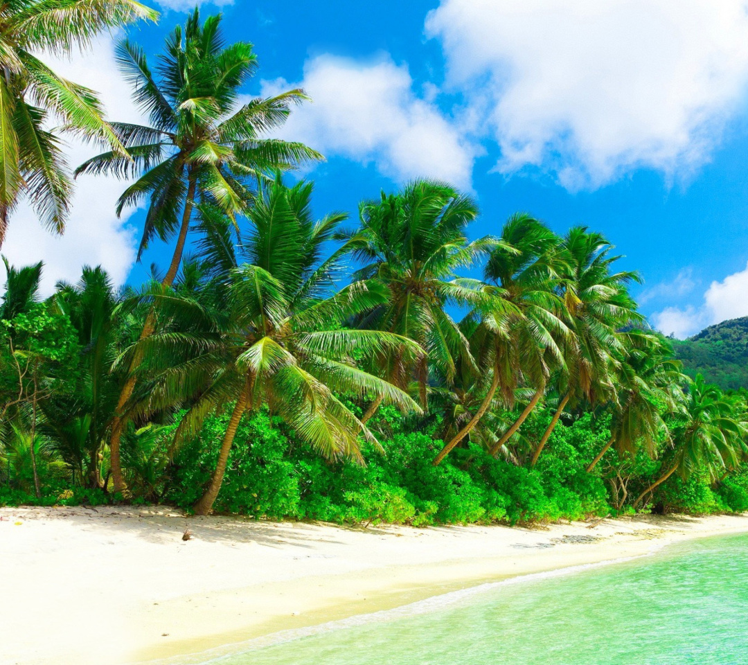 Das Tropical Landscape and Lagoon HD Wallpaper 1080x960